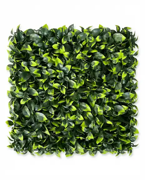 Ficus-style artificial hedge material sample